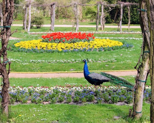 95f6b5d7-fd39-4f21-bc6d-ca4eff21ba91