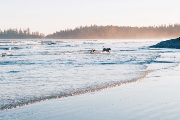 Processed with VSCO with e3 preset